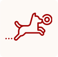image_logo